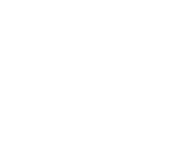 The Dubai Mall - NEXA Portfolio
